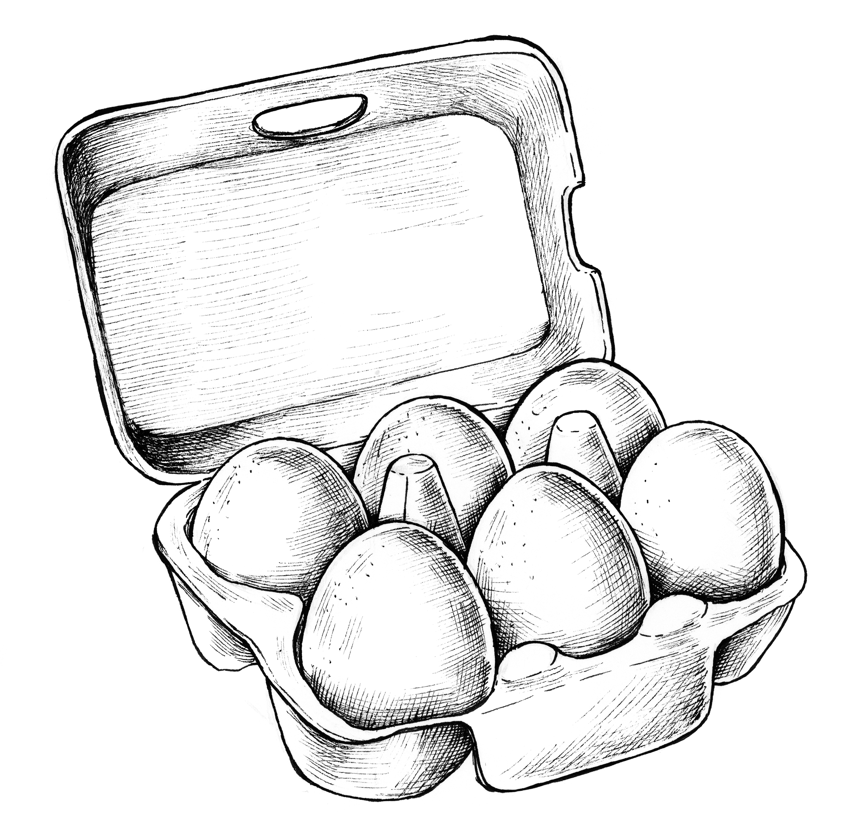 Line drawing of pasture-raised eggs in a carton